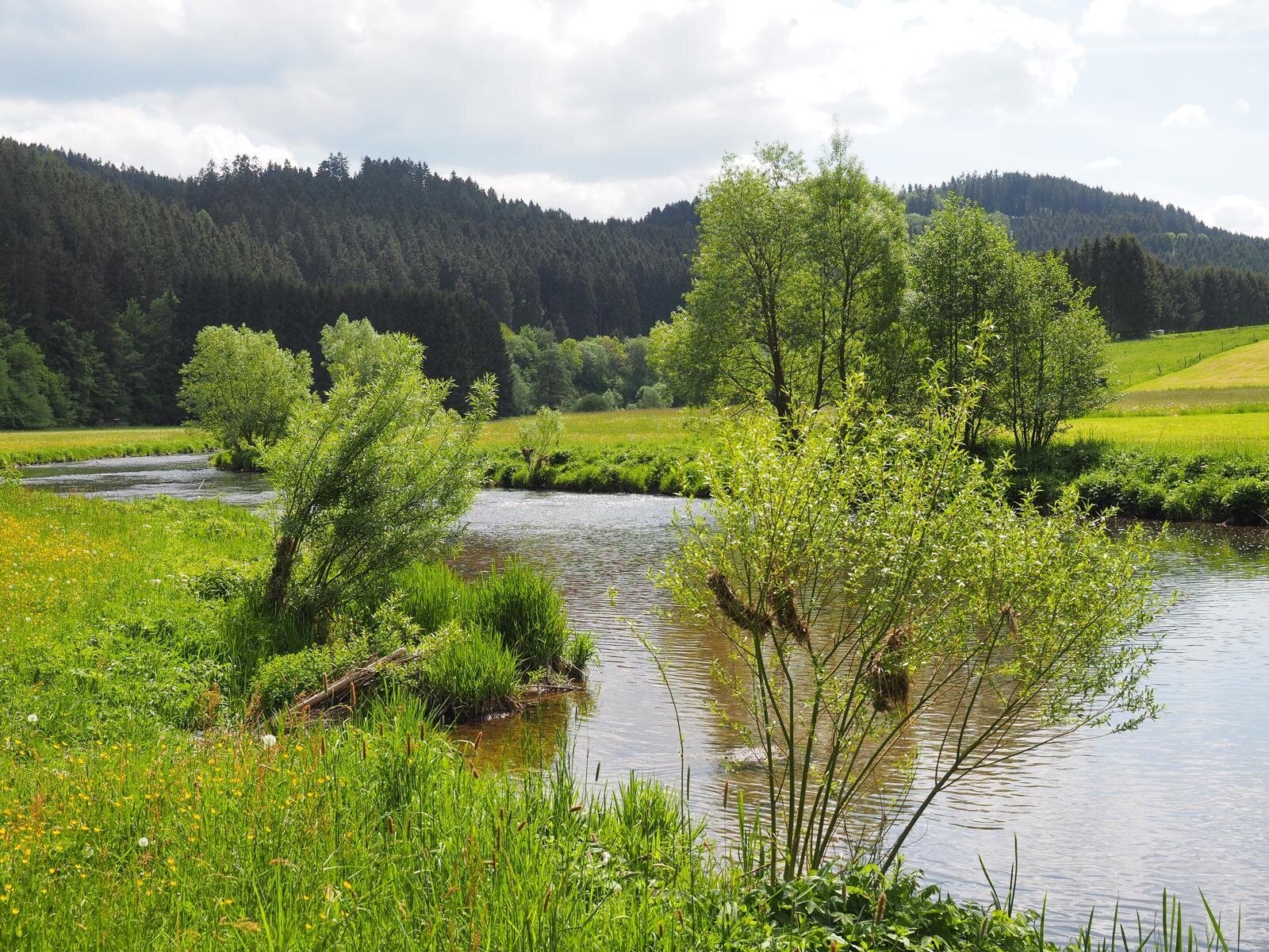 Ein Ort zum Ankommen, Wohlfühlen und Bleiben - im Edertal in der Gemeinde Schwarzenau