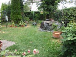 Garten Garten