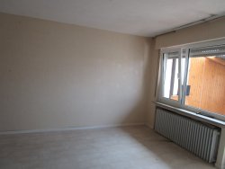 Zimmer Zimmer